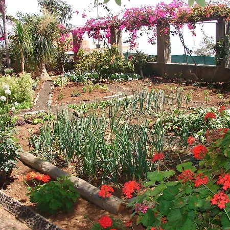 Lägenhet Quinta Do Bom Sucesso Funchal (Madeira)